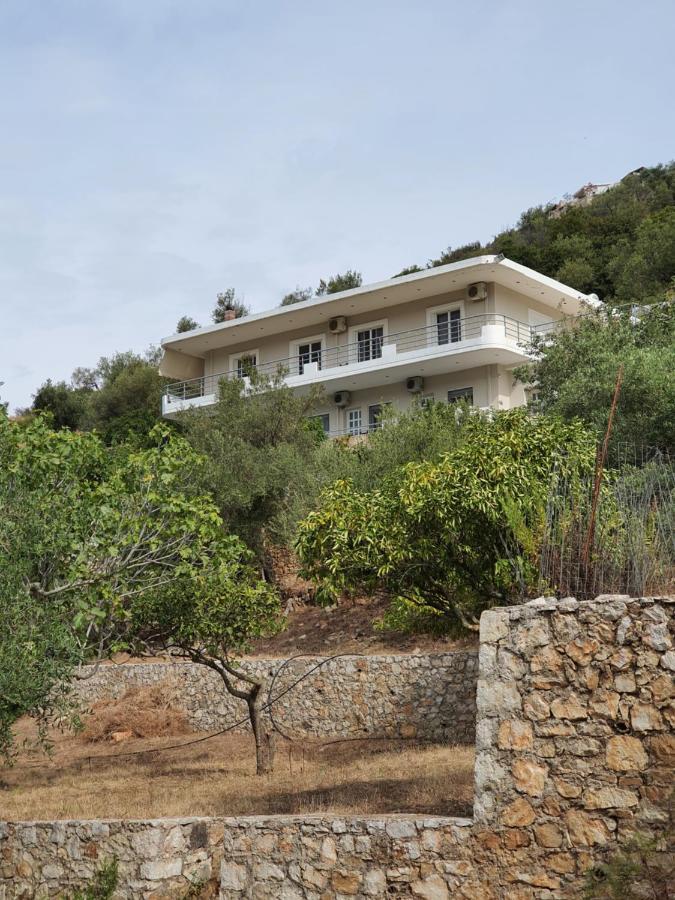 Bodini's Himare